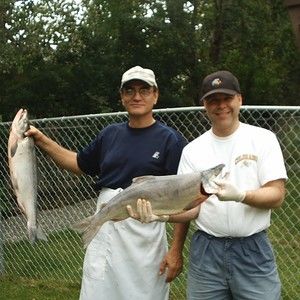 Meet your Posher, Allen